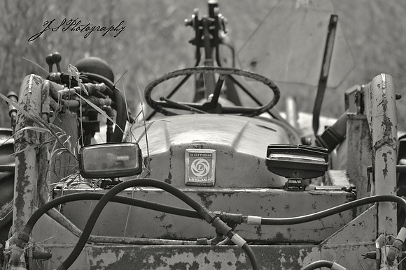 DSC_8902