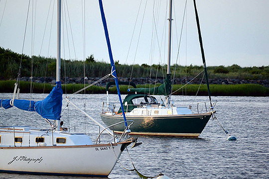 JSP (29)